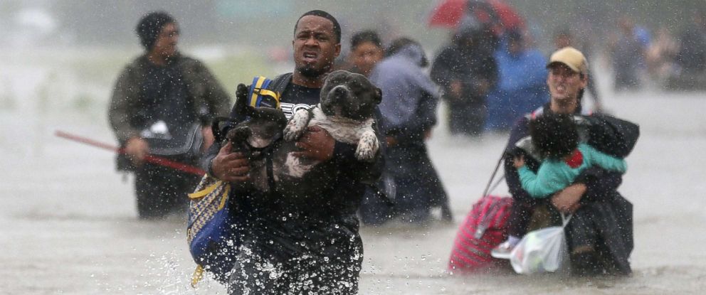 hurricane-harvey-wading-out-rt-ps-170828_12x5_992.jpg