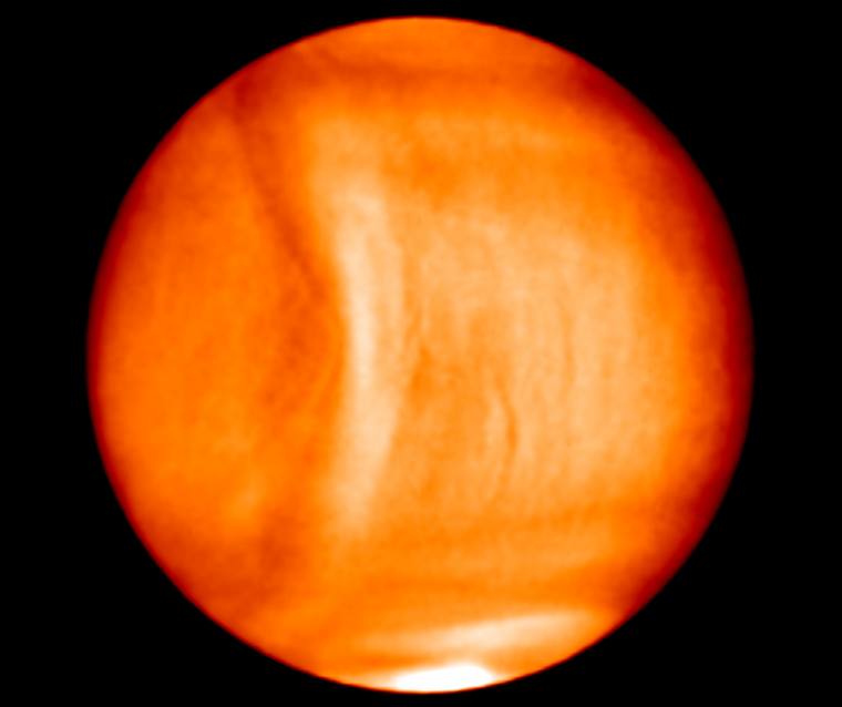 Venus-bow-800x800.png