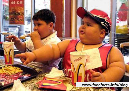 mcdonald-large-kid-750701.jpg