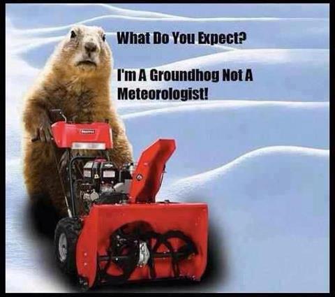 groundhog-snowblower.jpg